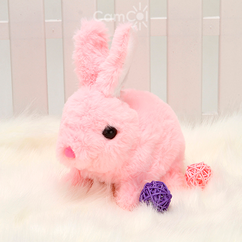 Coelhinho Brincalhão - Seu Coelho de Estimação!