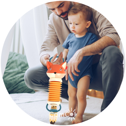 Sanfona de Raposa Kids - Melodias Encantadoras!